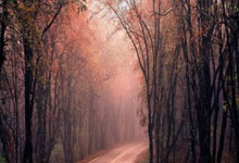 隆德县教育体育局隆德县2025年改善普通高中学校办学条件项目--计算机教室、智慧音乐教室、信息技术实验室设备政府采购项目中标公告:计算机信息技术