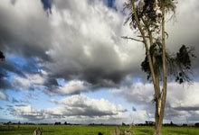 聚焦前沿！FCSIT 2025国际计算机与信息技术会议邀您共聚西班牙瓦伦西亚:计算机信息技术