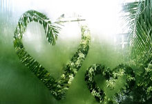 信息技术领域的荣誉认可：如何成为英国计算机学会会士:计算机信息技术