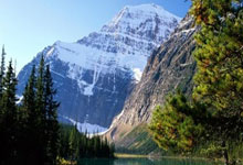 梅安森中标结果：石化盈科信息技术有限责任公司2025煤矿智能化建设项目计算机应用软件招标结果公告:计算机信息技术