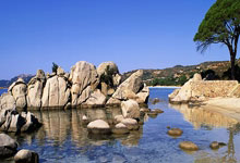 德州职业技术学院计算机信息技术工程系建设“新型网络智能创新中心”项目公开招标公告:计算机信息技术